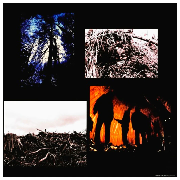 PEARL JAM - VS. (GATEFOLD) / VINILO 6