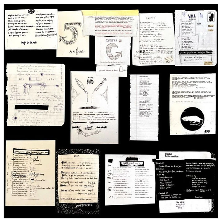 PEARL JAM - VS. (GATEFOLD) / VINILO 7