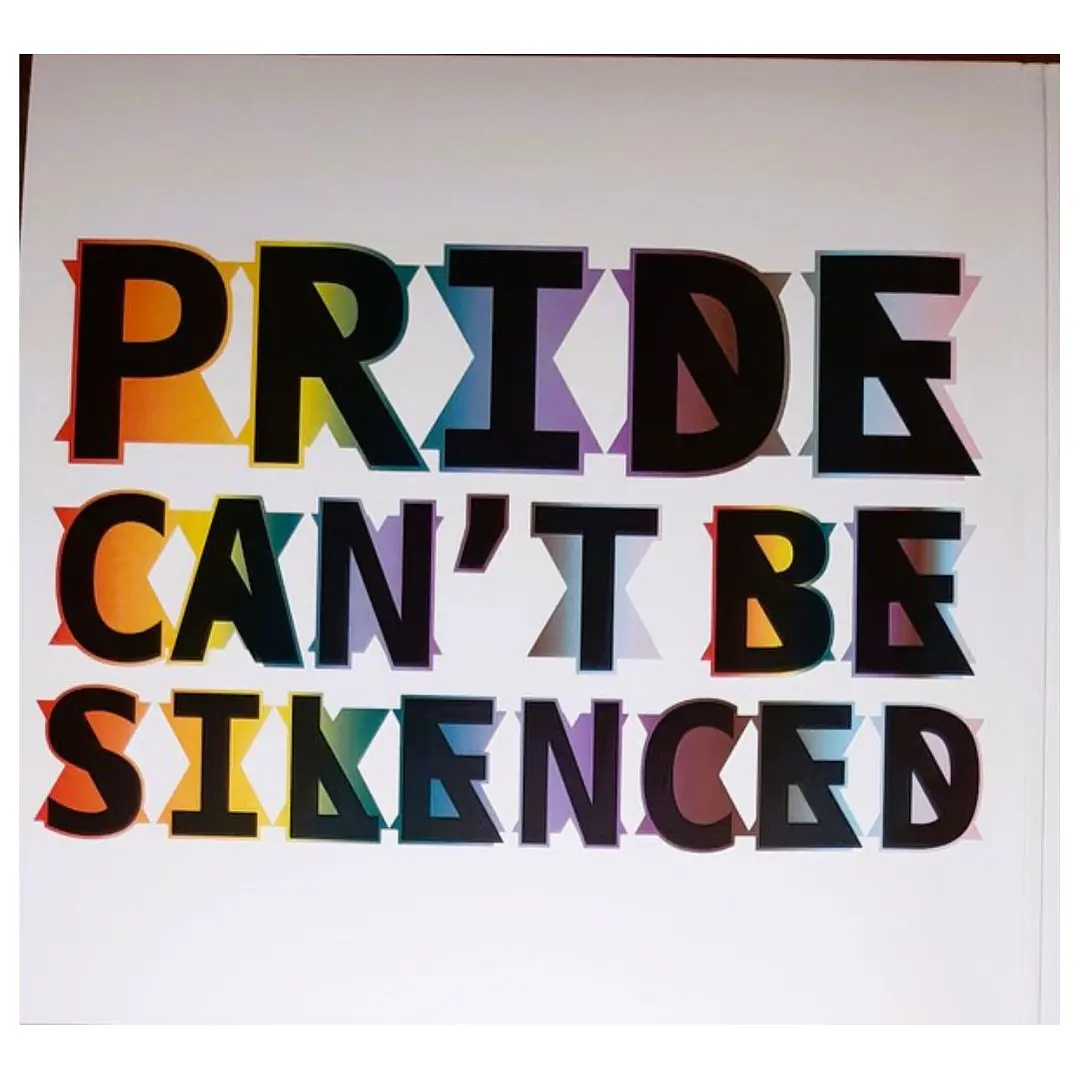 PRIDE CAN'T BE SILENCED - VARIOUS (2LP) / VINILO 4