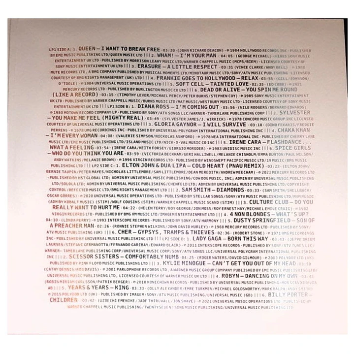 PRIDE CAN'T BE SILENCED - VARIOUS (2LP) / VINILO 5