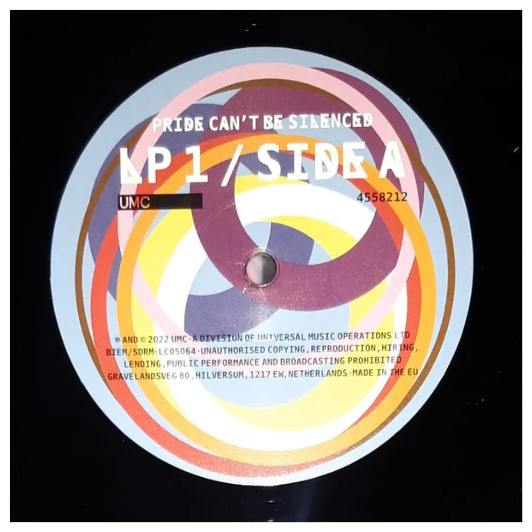PRIDE CAN'T BE SILENCED - VARIOUS (2LP) / VINILO 6