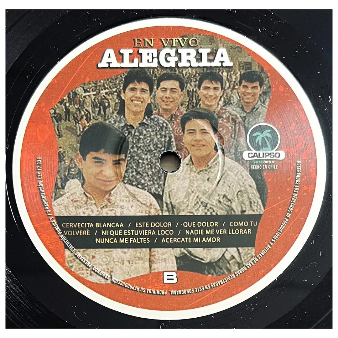 ALEGRIA - EN VIVO (PAN DE AZUCAR 1996) / VINILO 4