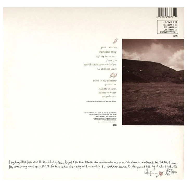 TANITA TIKARAM - ANCIENT HEART / VINILO USADO 2