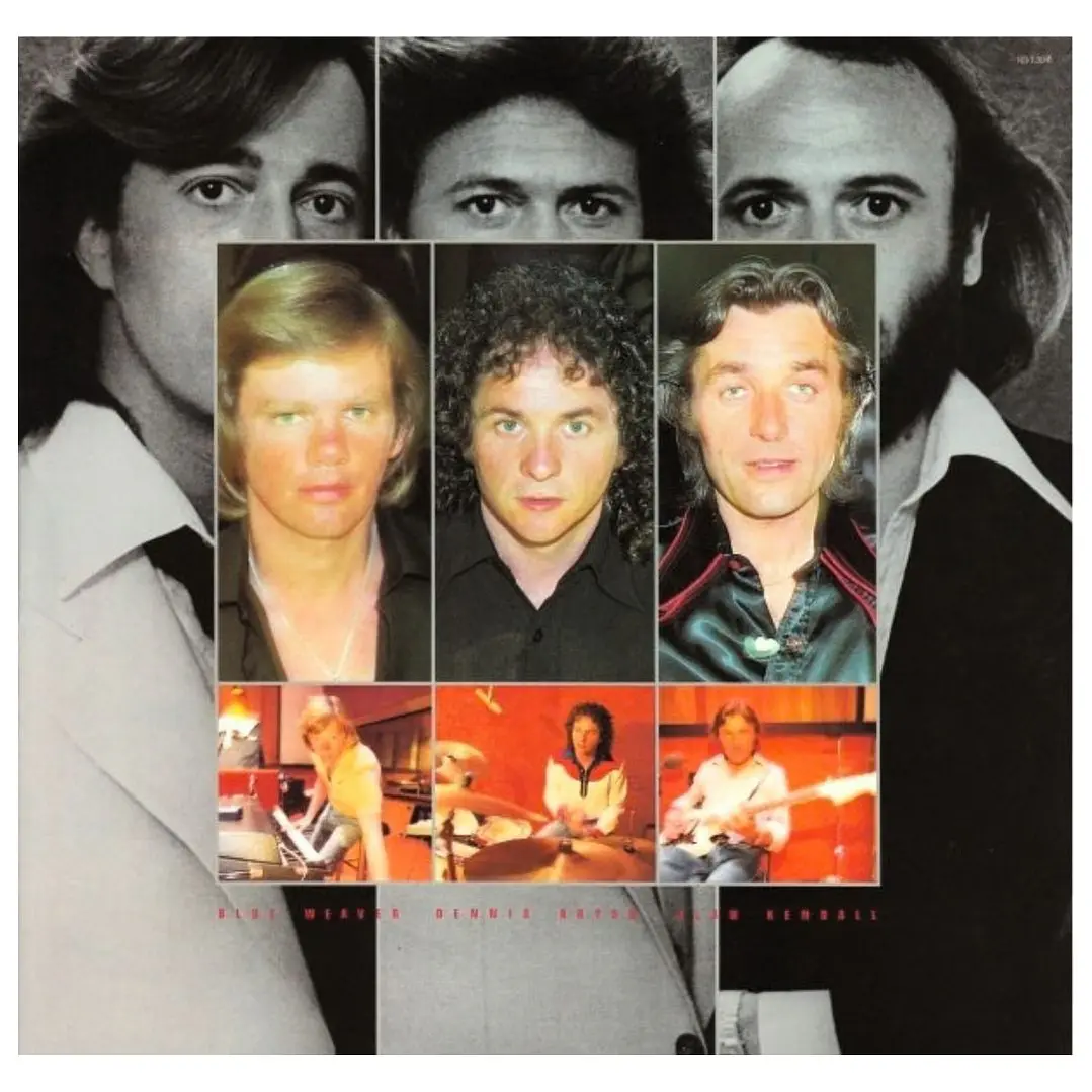 BEE GEES - SPIRITS HAVING FLOWN (GATEFOLD) / VINILO USADO 5