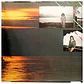 YES - GOING FOR THE ONE (TRIFOLD) / VINILO USADO - Miniatura 5