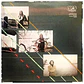 YES - GOING FOR THE ONE (TRIFOLD) / VINILO USADO - Miniatura 6