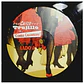 CHICO TRUJILLO - CUMBIA CHILOMBIANA / VINILO - Miniatura 4