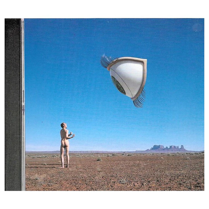 THE CRANBERRIES - BURY THE HARCHET / CD USADO 2