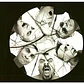 SKA-P - LAGRIMAS Y GOZOS / CD USADO - Miniatura 5