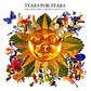 TEARS FOR FEARS - TEARS ROLL DOWN (GREATEST HITS 82-92) / CD USADO - Miniatura 1