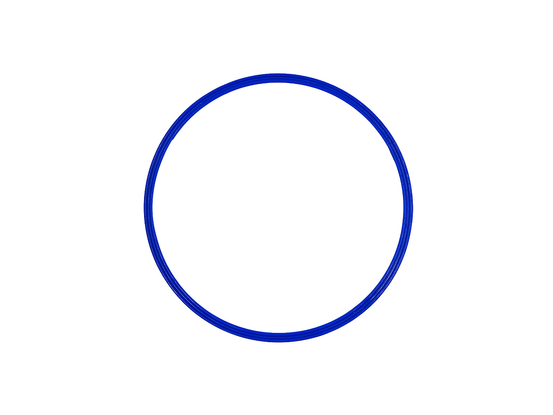 Aro de Agilidad Plano Muuk 70 cm 4