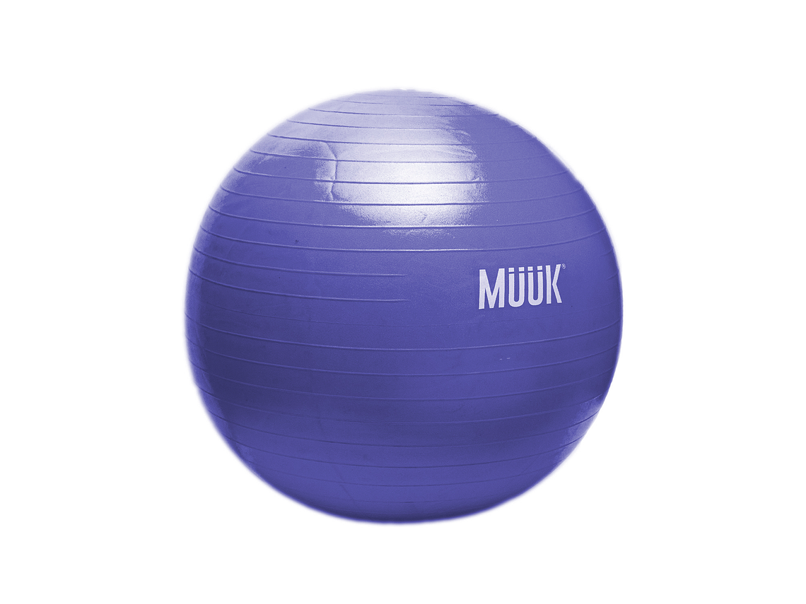 Balon De Pilates Muuk 65cm 4