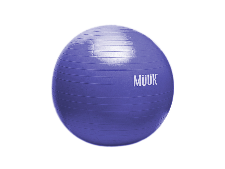 Balon De Pilates Muuk 65cm 4