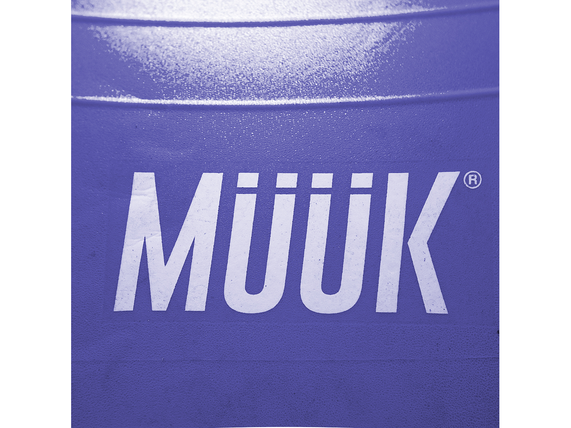 Balon De Pilates Muuk 65cm 2
