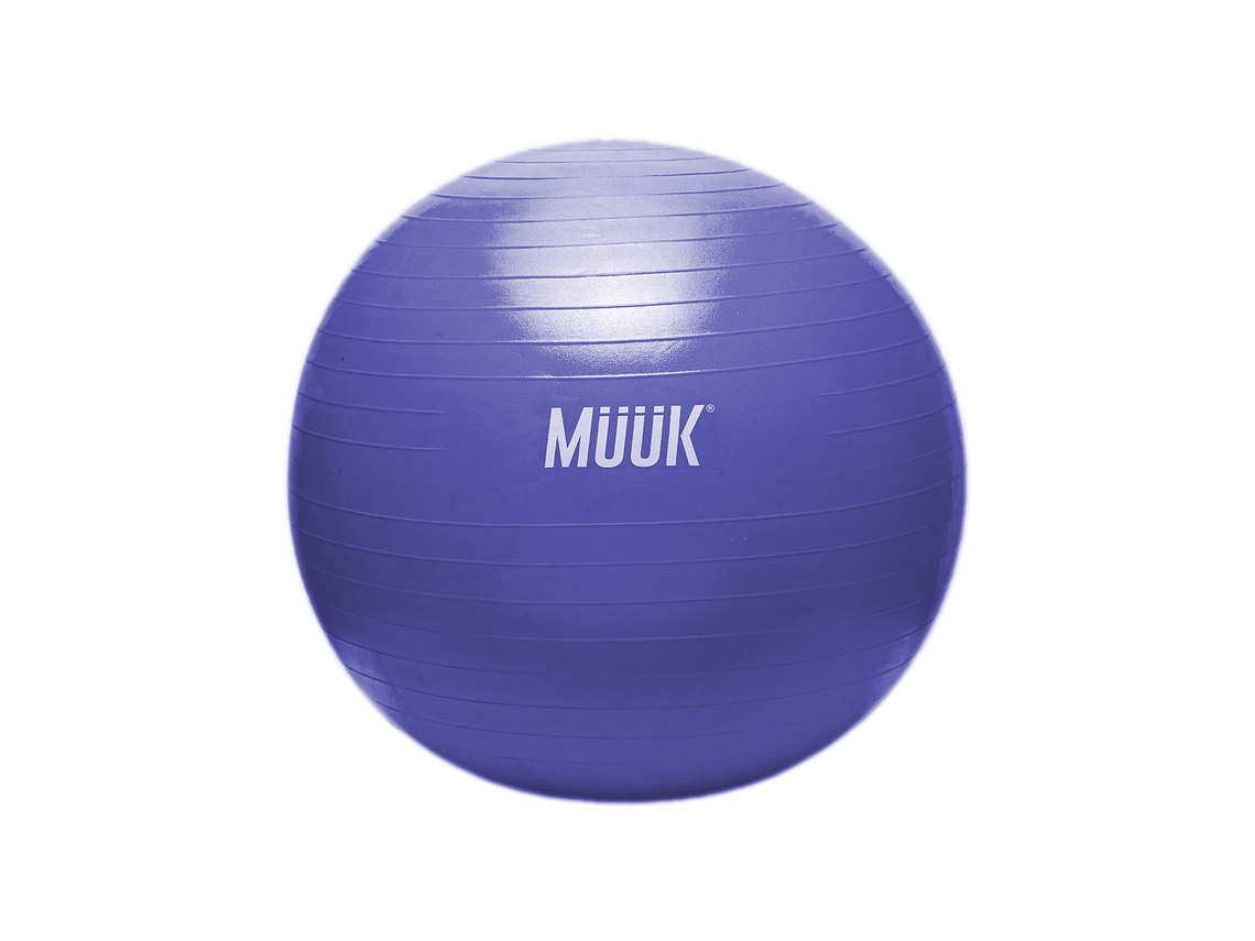 Balon De Pilates Muuk 65cm 1