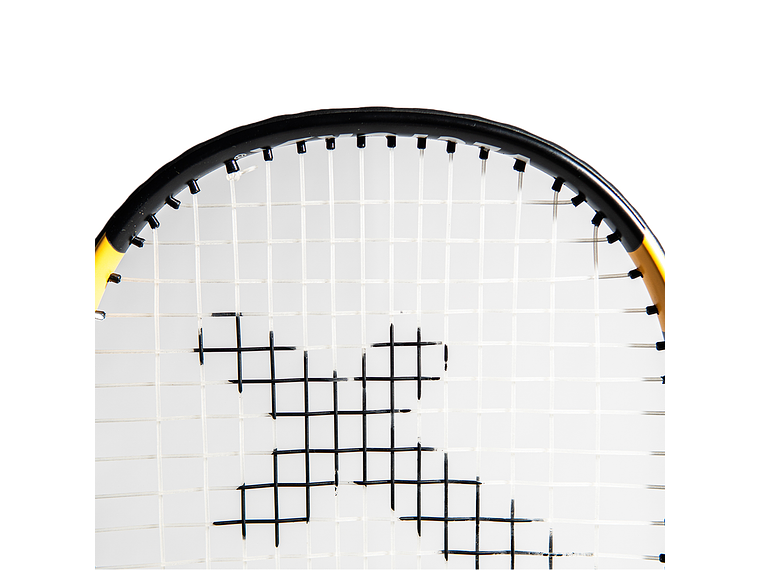 Raqueta de Squash Vector X 5