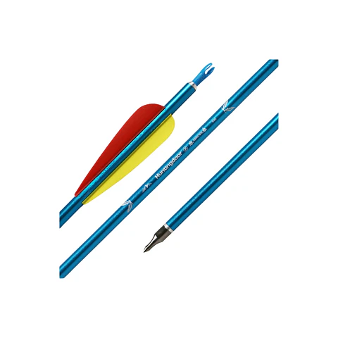 Flechas de Aluminio Blister 30 3 un