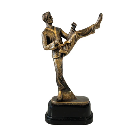 Trofeo de Artes Marciales Resina 25 cm