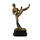 Trofeos y Premiaciones