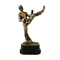 Trofeo de Artes Marciales Resina 25 cm - Miniatura 1