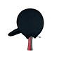 Paleta de Tenis de Mesa Xushaofa T-108/1008 - Miniatura 4