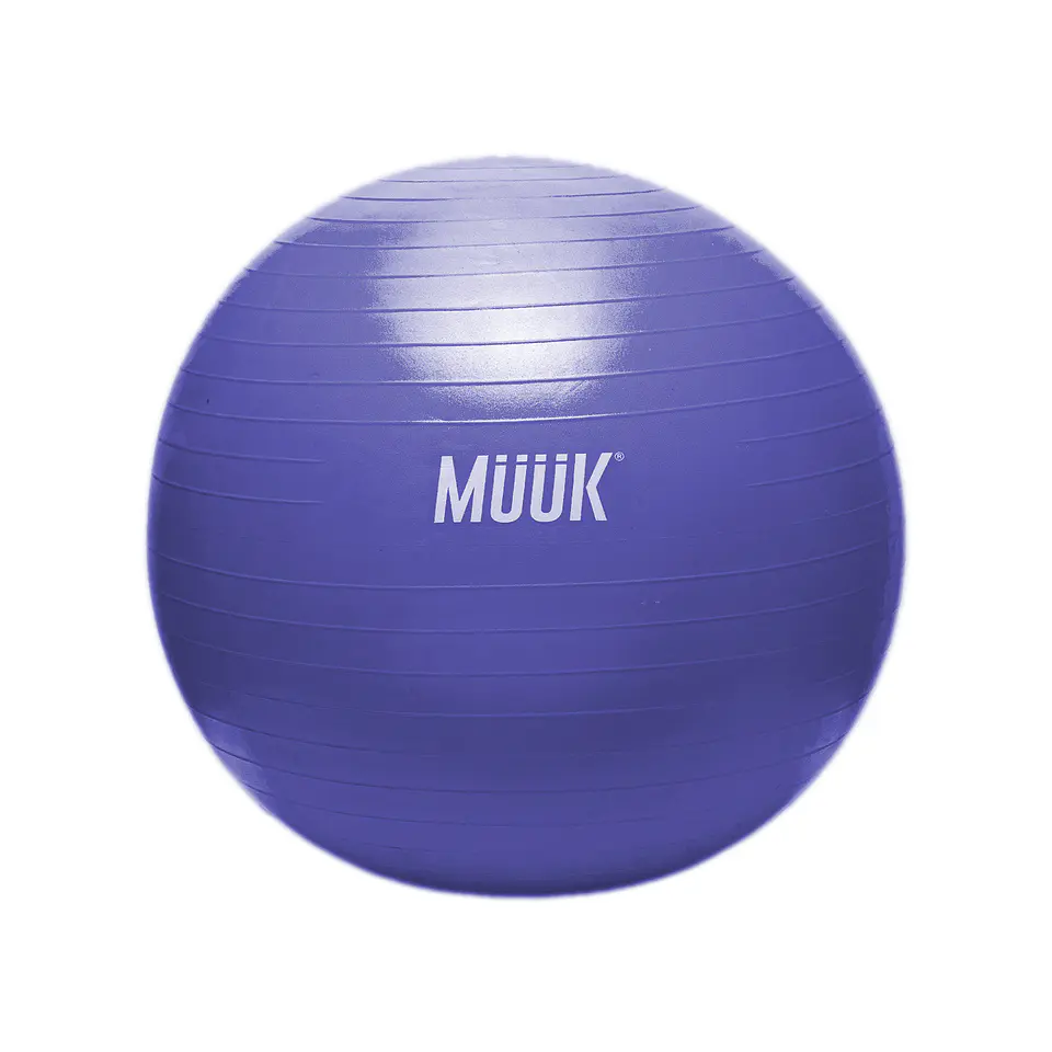 Balon De Pilates Muuk 65 Cm 1