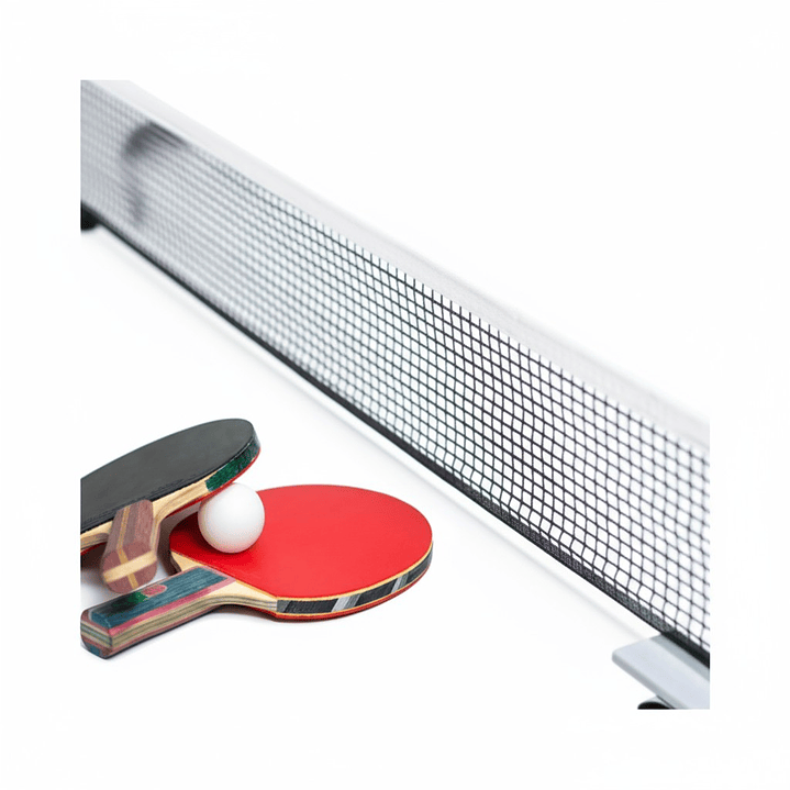 Red de Ping Pong Economica 4
