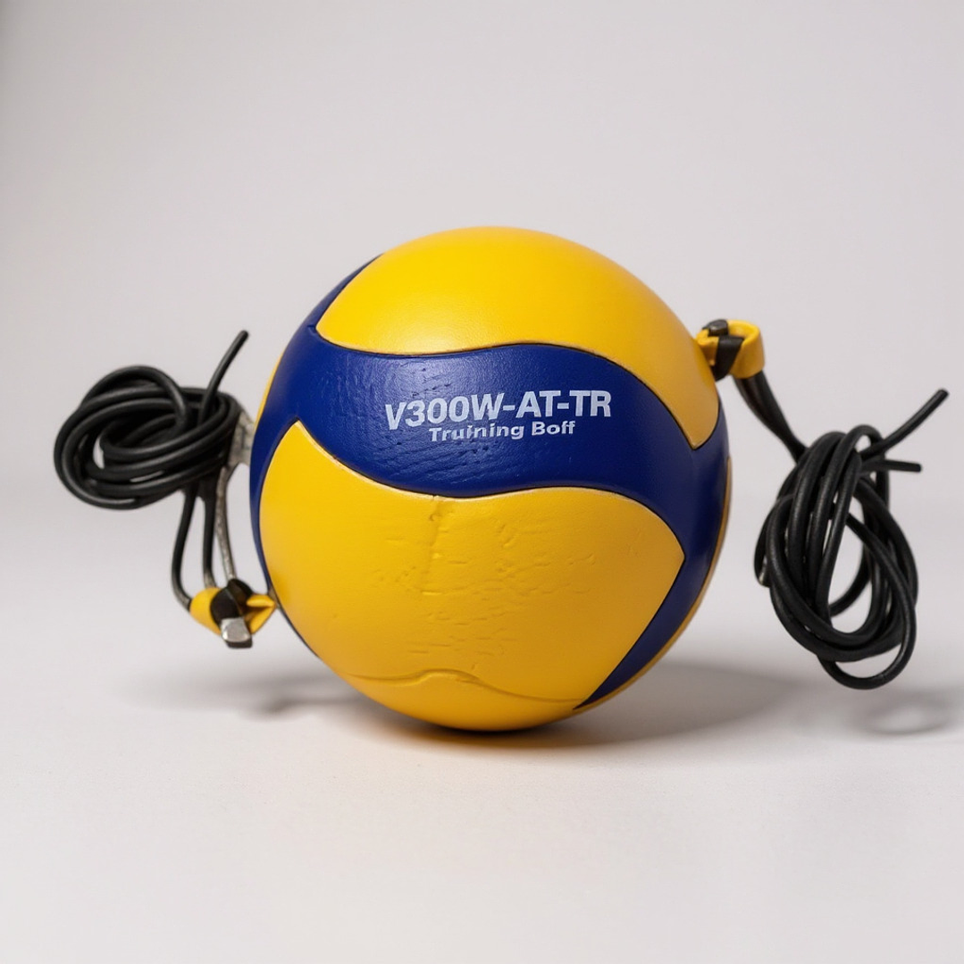 Balon de Volleyball Mikasa MVA 300 1