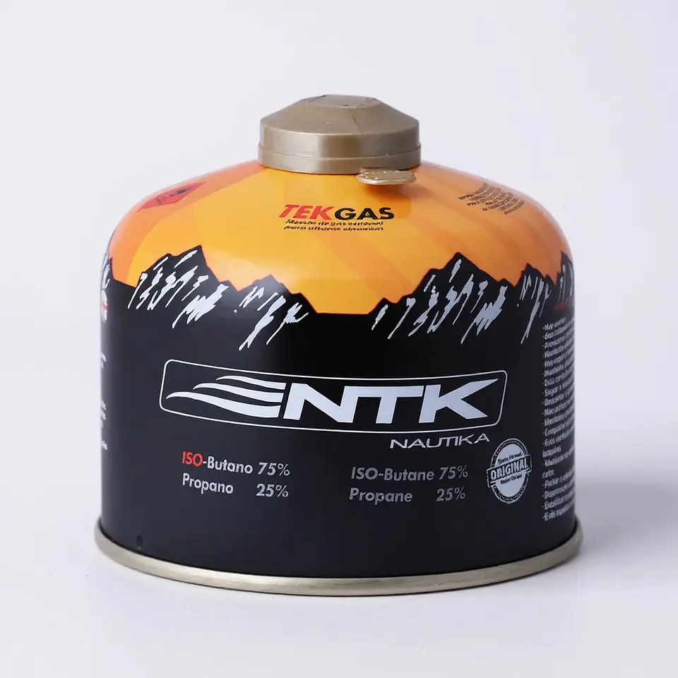 Gas de Camping 230 gr 1