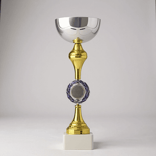 Copa Dorada/Plateada TBR 