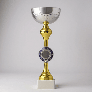 Copa Dorada/Plateada TBR 