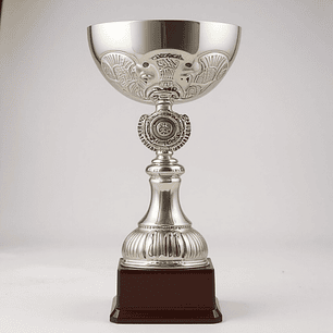 Copa Plateada TBR Base Plastica 