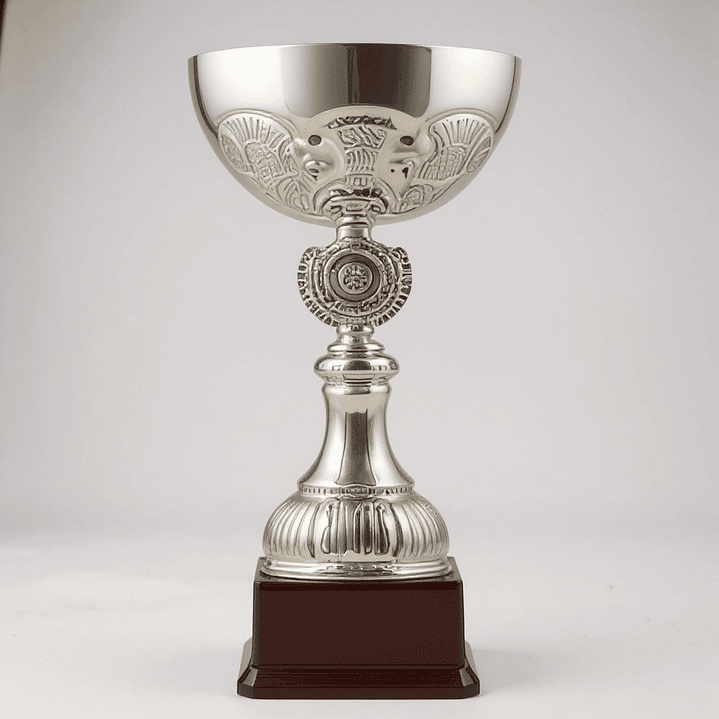 Copa Plateada TBR Base Plastica  2
