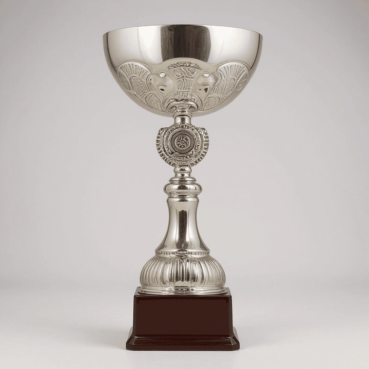 Copa Plateada TBR Base Plastica  3