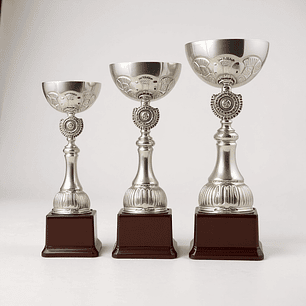 Copa Plateada TBR Base Plastica 