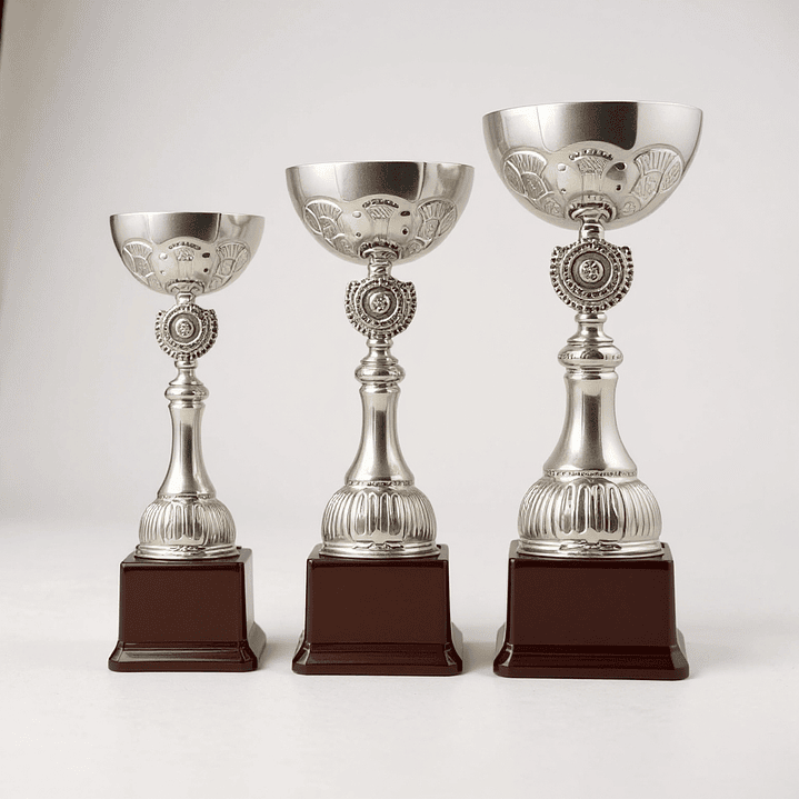 Copa Plateada TBR Base Plastica  1