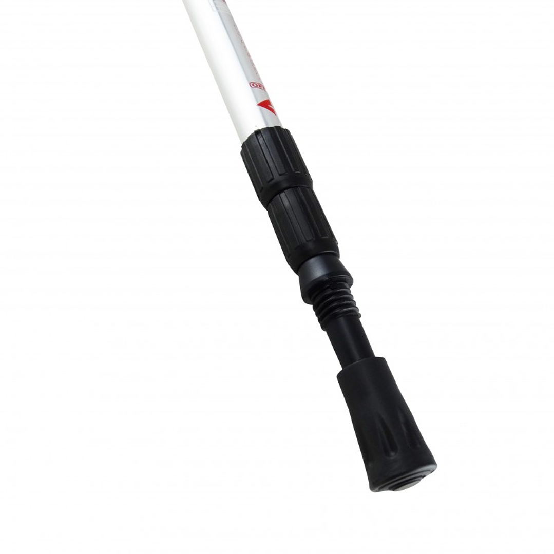 Baston de Trekking Hudson 3