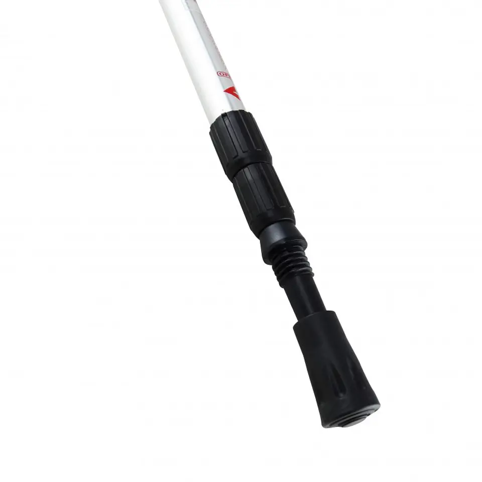 Baston de Trekking Hudson 3