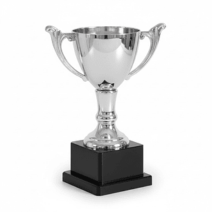 Copa Plateada MTT1322 Nacional Base Plastica Alto 21 cm