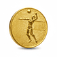 Logo para Medalla Voleibol - Miniatura 5