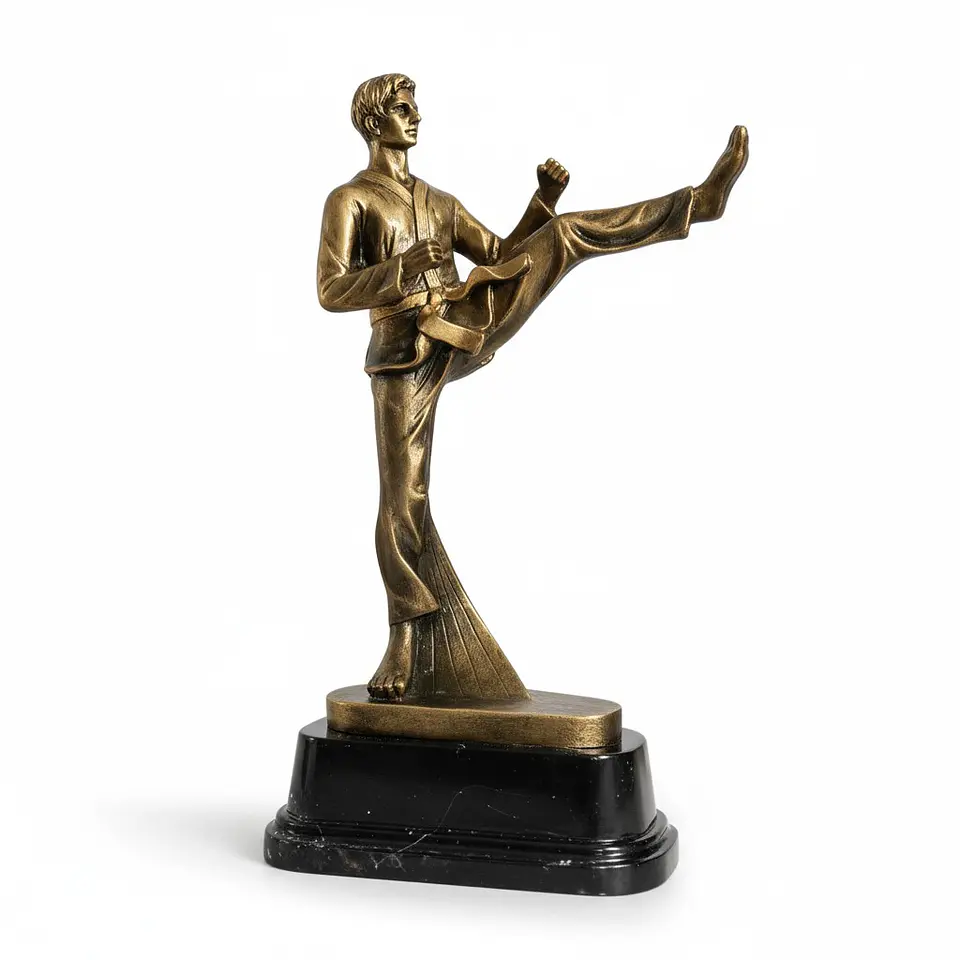 Trofeo de Artes Marciales Resina 25 cm 2