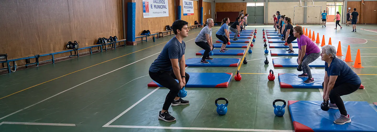 <sTRONG> SUMINISTROS PARA TALLERES<BR> DE EJERCICIO FUNCIONAL