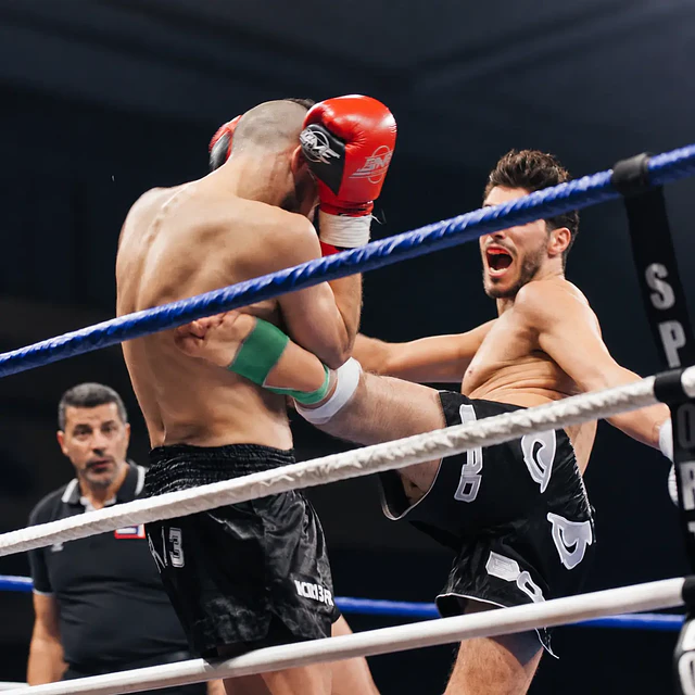 Deportes de combate
