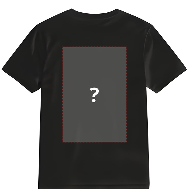 POLERA CLÁSICA CON ESTAMPADOS PERSONALIZADA  2