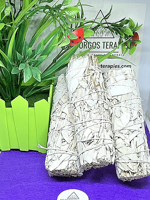 Tochas de Sálvia Branca pequena 10cm