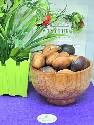 Olho de Boi Sementes