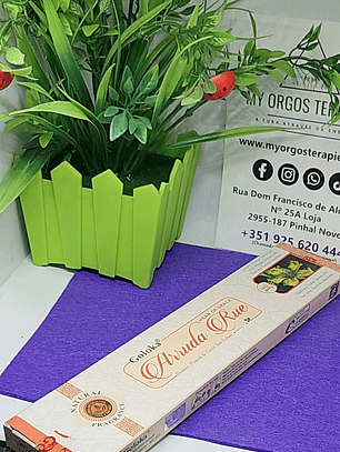 Incensos Goloka Rue ( Arruda )