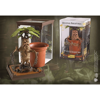 Magical Creatures: Harry Potter - Mandrake