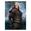 Puzzle The Witcher