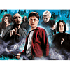 Puzzle 1000 Peças Harry Potter Beware